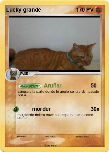Pokemon Lucky grande