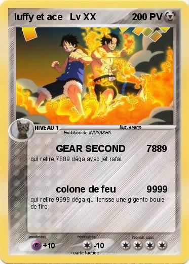 Pokemon luffy et ace   Lv XX