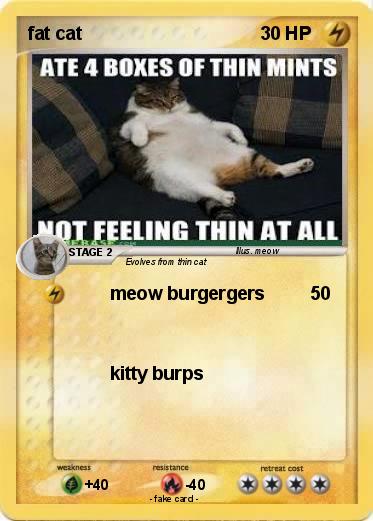 Pokemon fat cat