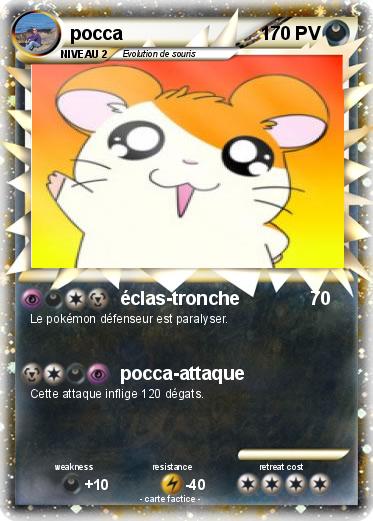 Pokemon pocca