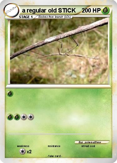 Pokemon a regular old STICK
