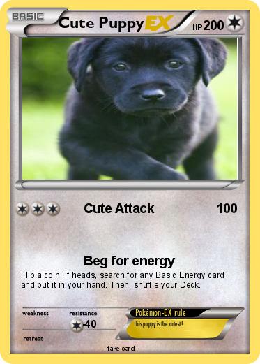 Pokemon Cute Puppy