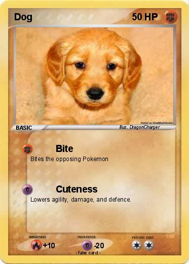 Pokemon Dog