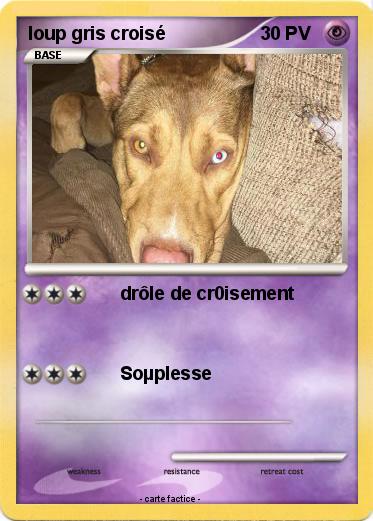 Pokemon loup gris croisé