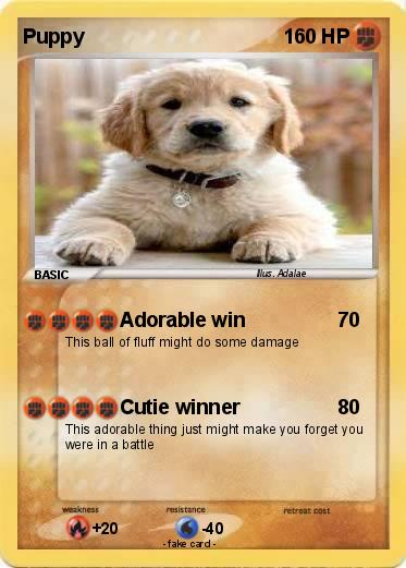 Pokemon Puppy