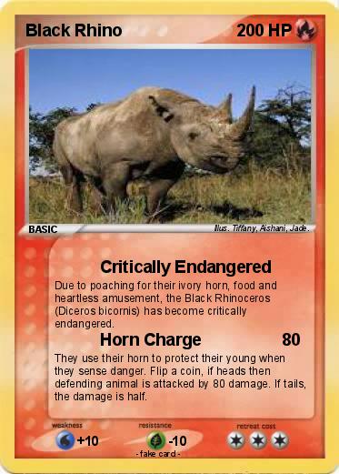 Pokemon Black Rhino