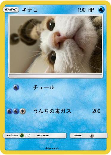 Pokemon キナコ