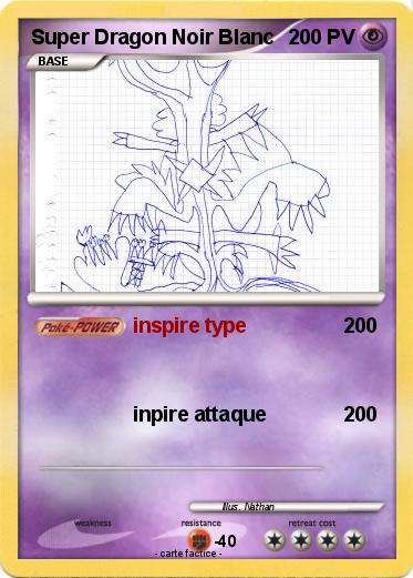 Pokemon Super Dragon Noir Blanc