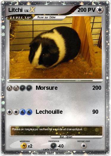 Pokemon Litchi