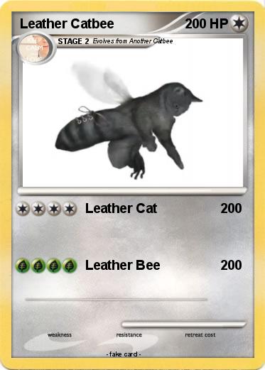 Pokemon Leather Catbee