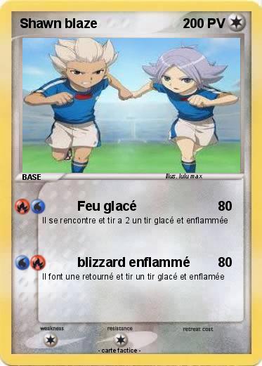Pokemon Shawn blaze