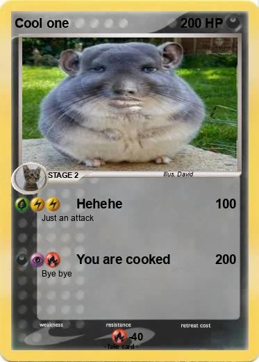 Pokemon Cool one