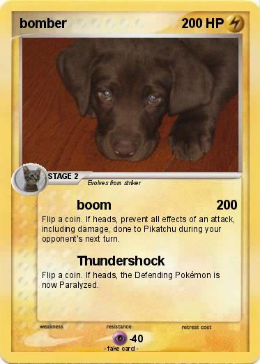 Pokemon bomber