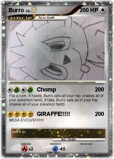 Pokemon Burro