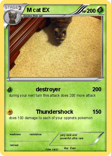 Pokemon M cat EX
