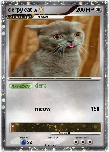 Pokemon derpy cat