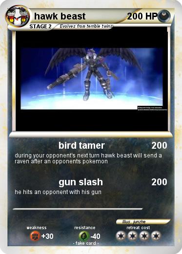 Pokemon hawk beast