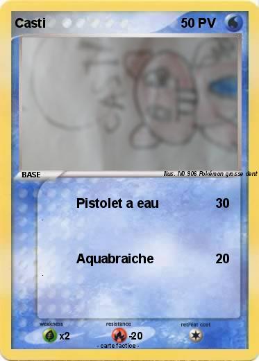 Pokemon Casti