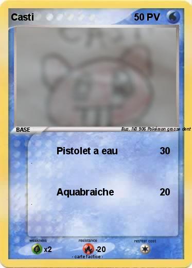 Pokemon Casti
