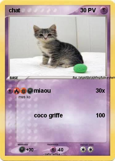 Pokemon chat