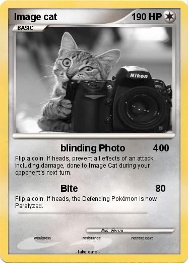 Pokemon Image cat