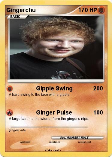 Pokemon Gingerchu