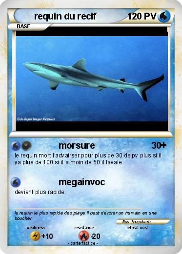 Pokemon requin du recif