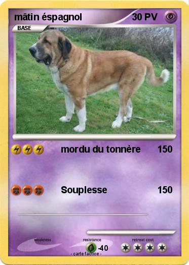 Pokemon mâtin éspagnol