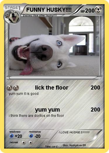 Pokemon FUNNY HUSKY!!!!