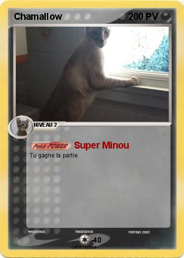 Pokemon Chamallow
