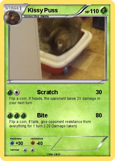 Pokemon Kissy Puss