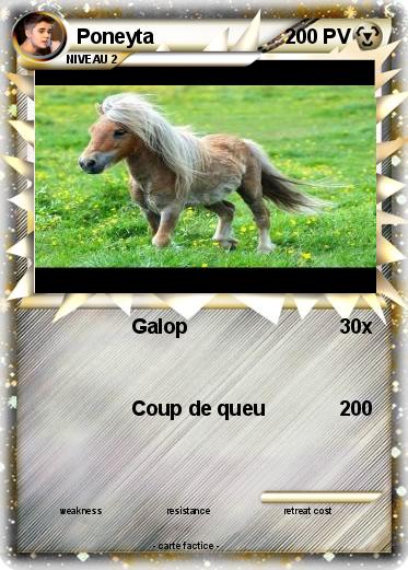 Pokemon Poneyta