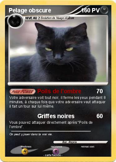 Pokemon Pelage obscure