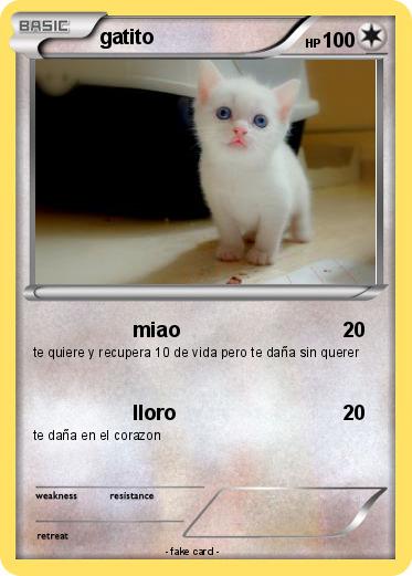 Pokemon gatito