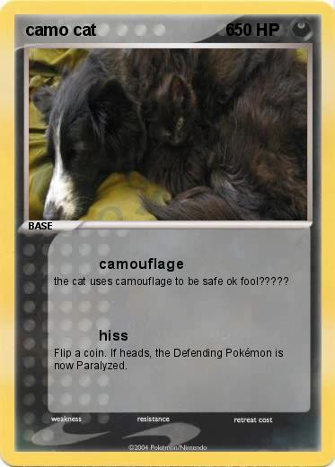 Pokemon camo cat                            6