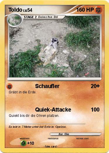 Pokemon Toldo