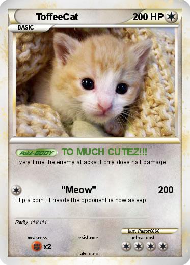 Pokemon ToffeeCat