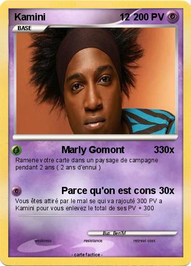 Pokemon Kamini                            12