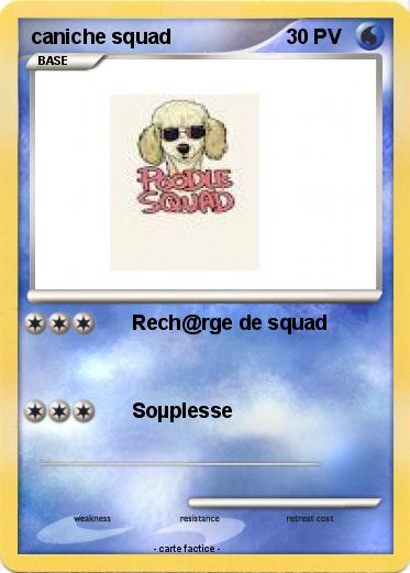 Pokemon caniche squad