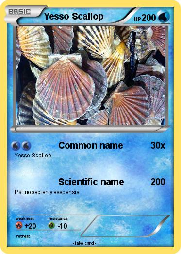Pokemon Yesso Scallop