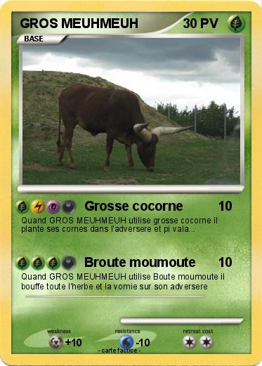 Pokemon GROS MEUHMEUH