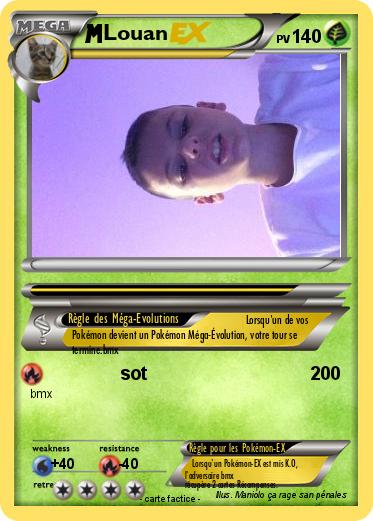 Pokemon Louan