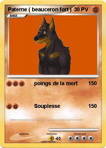 Pokemon Paterne ( beauceron fort )