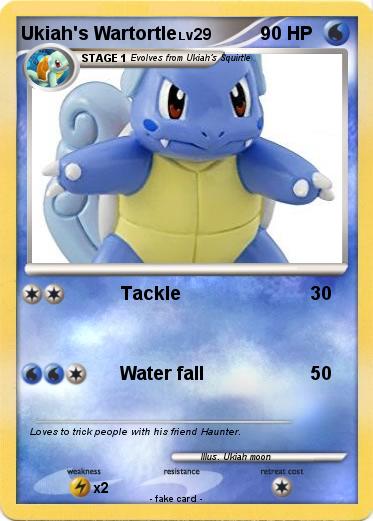 Pokemon Ukiah's Wartortle