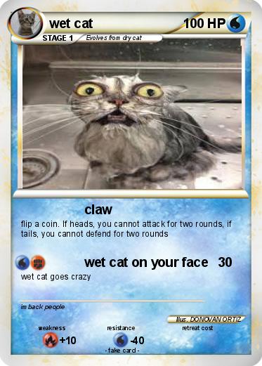 Pokemon wet cat