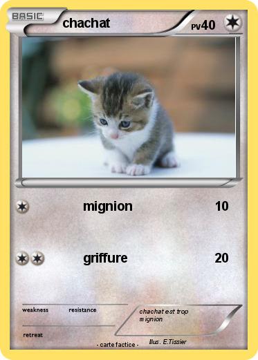 Pokemon chachat