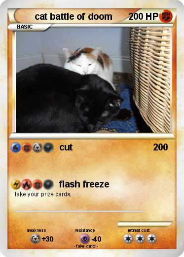 Pokemon cat battle of doom