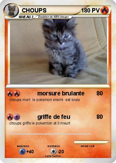 Pokemon CHOUPS