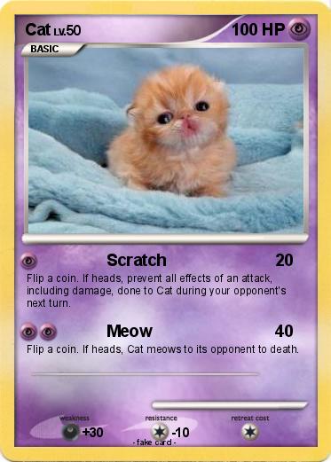 Pokemon Cat