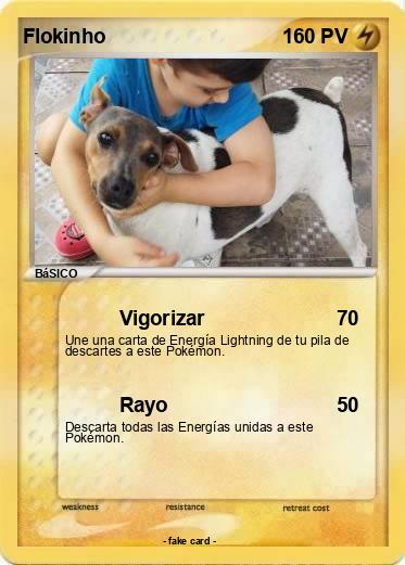 Pokemon Flokinho